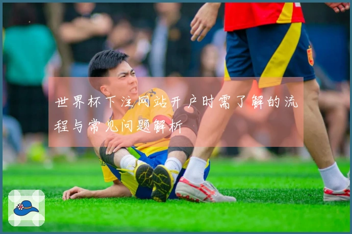 世界杯下注网站开户时需了解的流程与常见问题解析