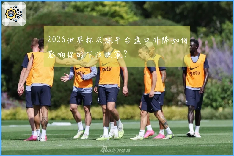 2026世界杯买球平台盘口升降如何影响你的下注决策？