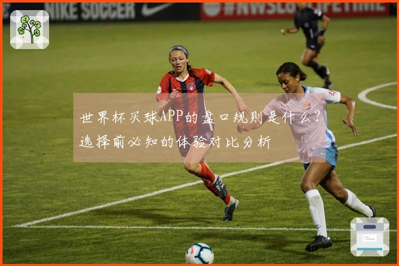 世界杯买球APP的盘口规则是什么？选择前必知的体验对比分析