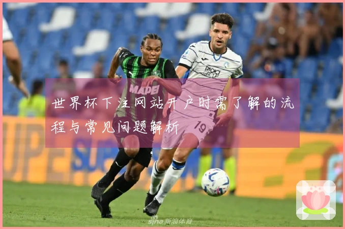 世界杯下注网站开户时需了解的流程与常见问题解析
