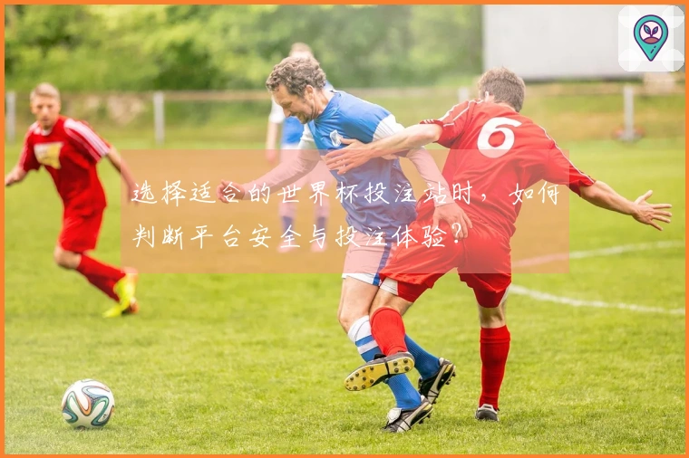 选择适合的世界杯投注站时，如何判断平台安全与投注体验？