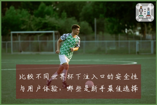 比较不同世界杯下注入口的安全性与用户体验，哪些是新手最佳选择？