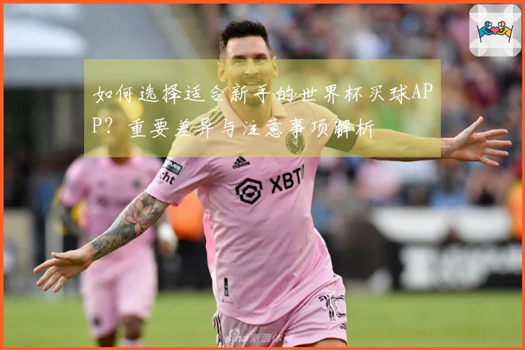 如何选择适合新手的世界杯买球APP？重要差异与注意事项解析