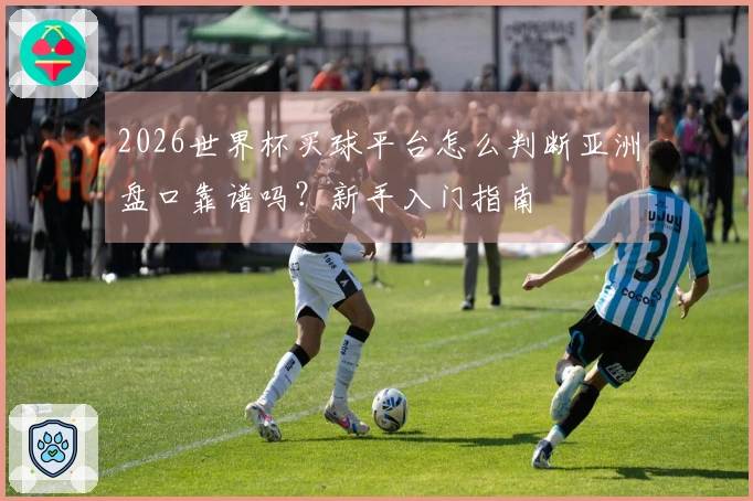 2026世界杯买球平台怎么判断亚洲盘口靠谱吗？新手入门指南