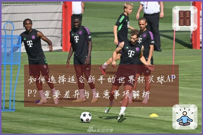 如何选择适合新手的世界杯买球APP？重要差异与注意事项解析