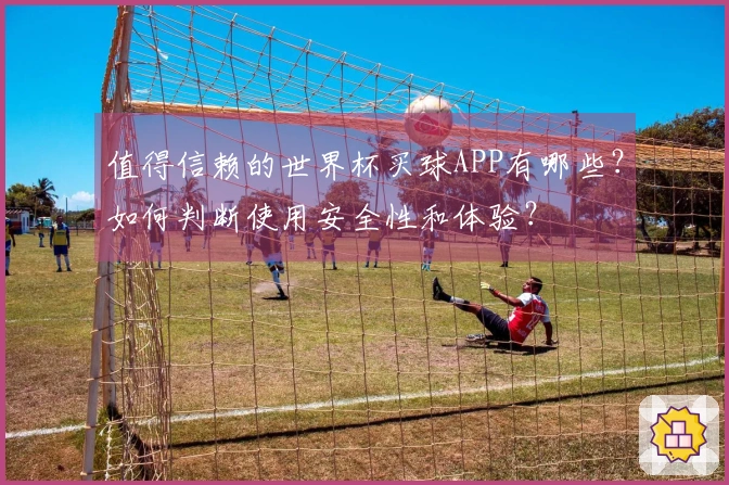 值得信赖的世界杯买球APP有哪些？如何判断使用安全性和体验？