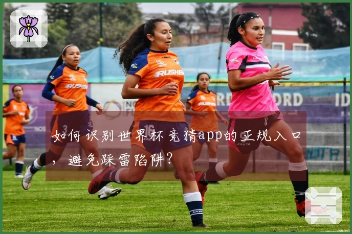 如何识别世界杯竞猜app的正规入口，避免踩雷陷阱？